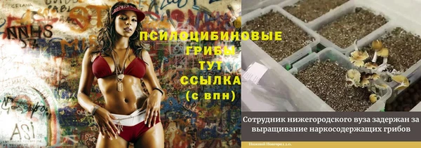 PSILOCYBIN Ладушкин