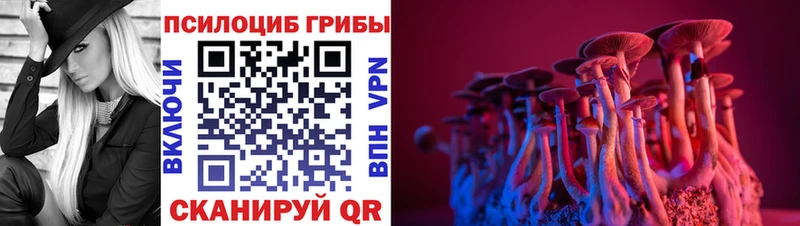 Псилоцибиновые грибы Psilocybe  закладки  Рыльск 