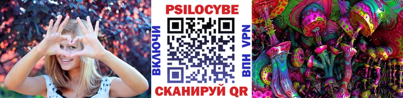Псилоцибиновые грибы Cubensis Рыльск